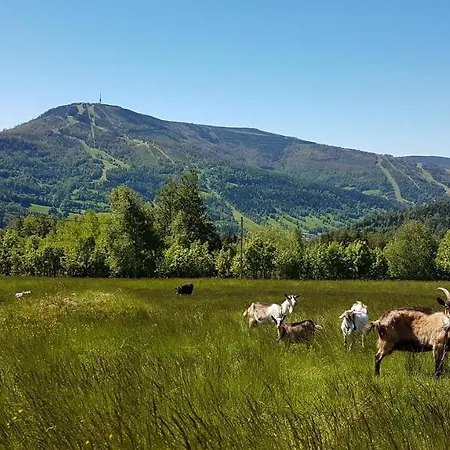 Вилла Widokowka - Dom Na Wylacznosc Z Pieknym Widokiem I Balia Щирк