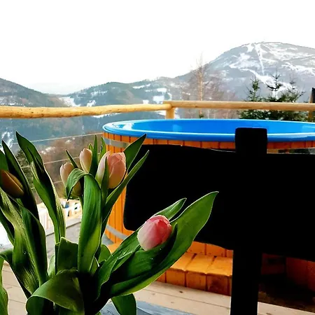 Widokowka - Dom Na Wylacznosc Z Pieknym Widokiem I Balia * Щирк