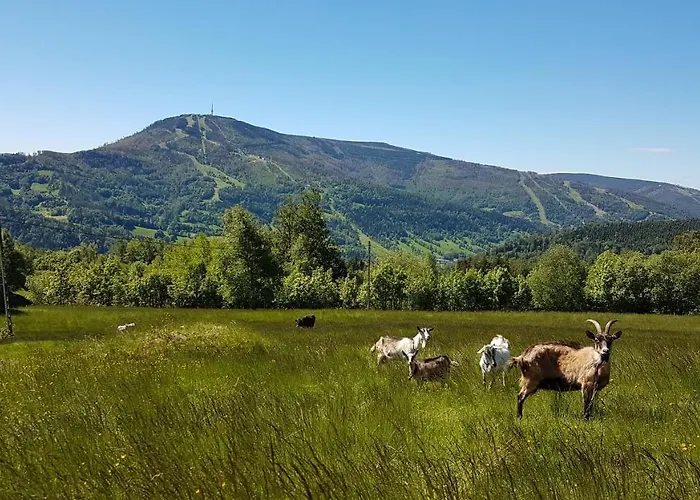 וילה Widokowka - Dom Na Wylacznosc Z Pieknym Widokiem I Balia שצ'צ'ירק